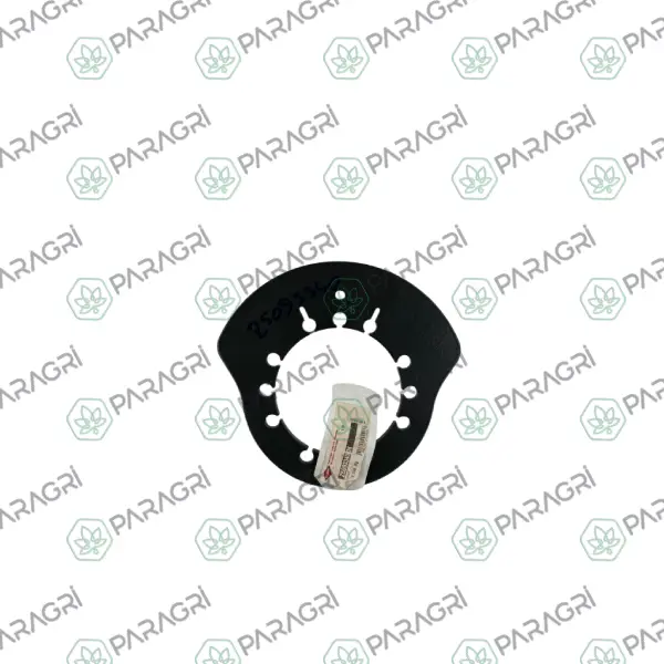 Z5093340 Ara Plaka