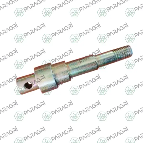 Z4500170 Pim