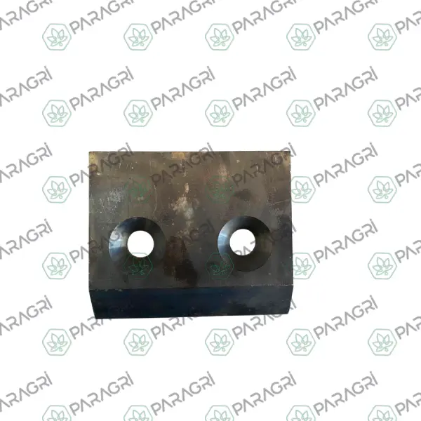 Z4202850 Piston Bıçağı